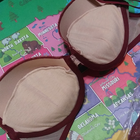 Fredrick's of Hollywood Burgundy Leopard Bra & Panty Set 32D & (S) - Picture 7 of 16